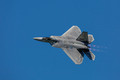 U.S. AIR FORCE F-22 Raptor