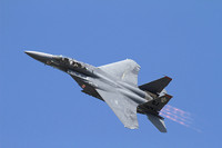 USAF F-15E STRIKE EAGLE